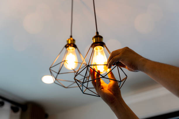 Best Electric Panel Repair  in Jefferson, IA